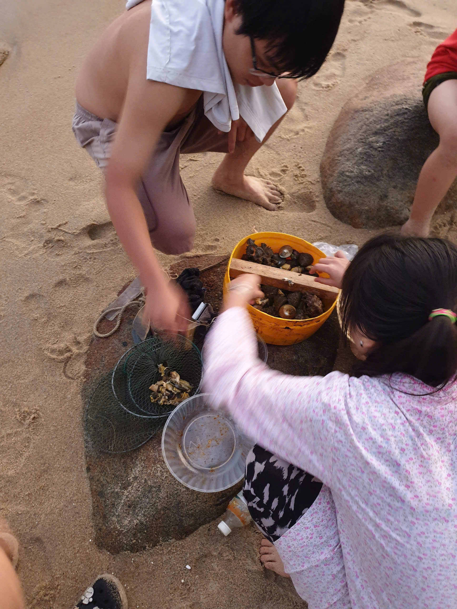 Tour cắm trại qua đêm trên bán đảo Sơn Trà - Ảnh 7