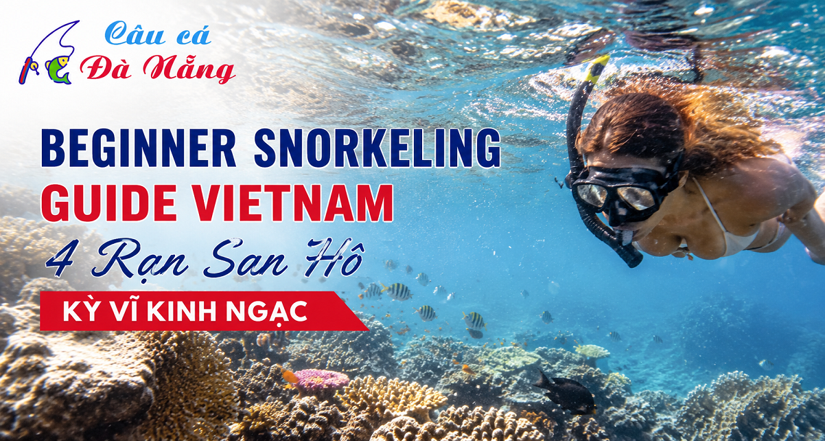 Beginner Snorkeling Guide Vietnam: 4 Rạn San Hô Kỳ Vĩ Kinh Ngạc