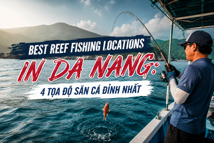 Best Reef Fishing Locations In Da Nang: 4 Tọa Độ Săn Cá Đỉnh Nhất